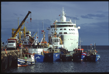 punta arena-03.jpg